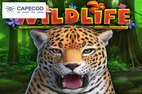 Wildlife